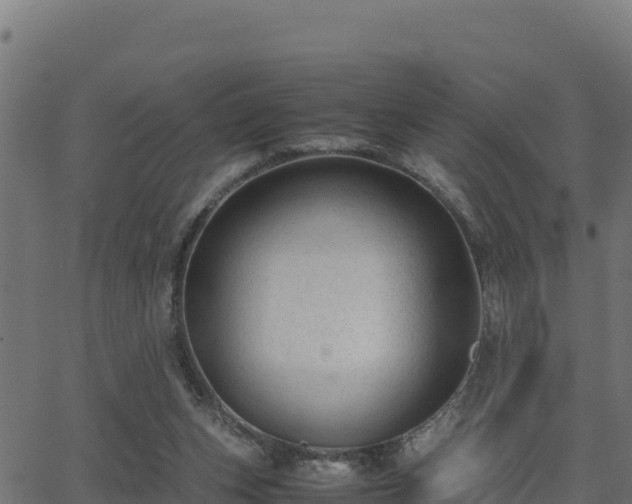 X0000062880159200601171456