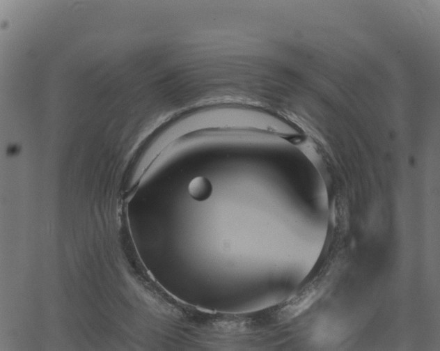 X0000062880160200601171456