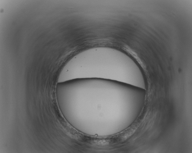 X0000062880161200601171456