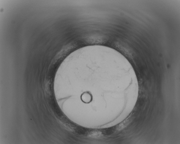 X0000062880162200601171456