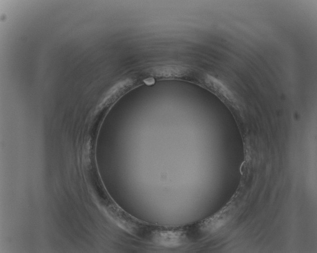 X0000062880163200601171457