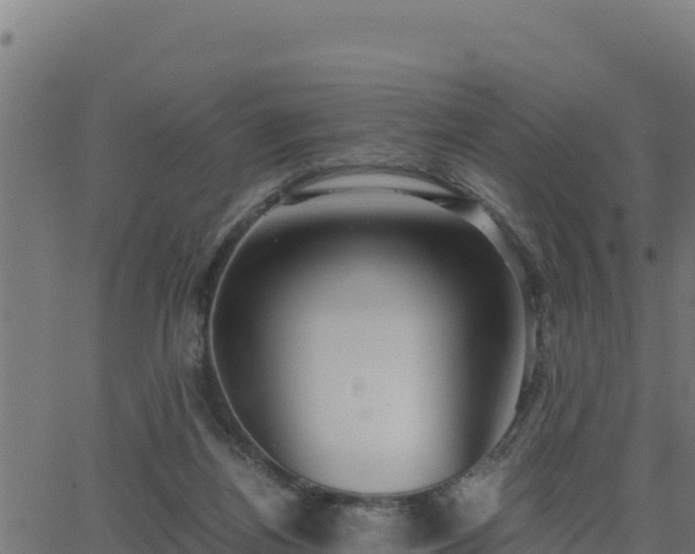 X0000062880164200601171457