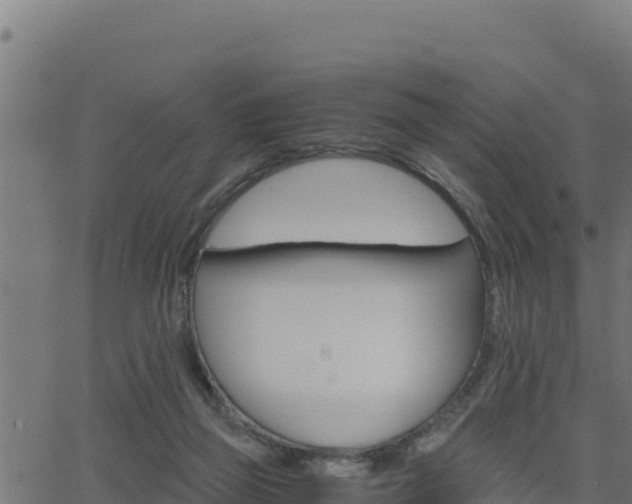 X0000062880165200601171457