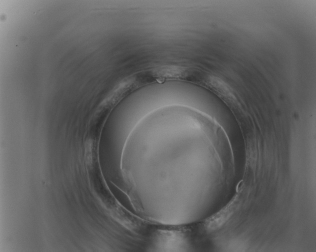 X0000062880167200601171457