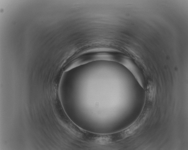 X0000062880168200601171457