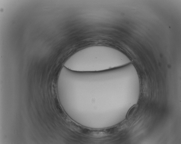 X0000062880169200601171457