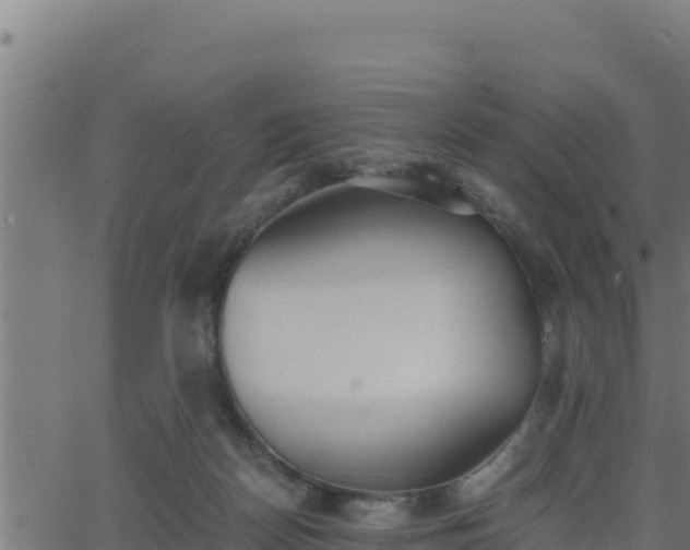 X0000062880170200601171457