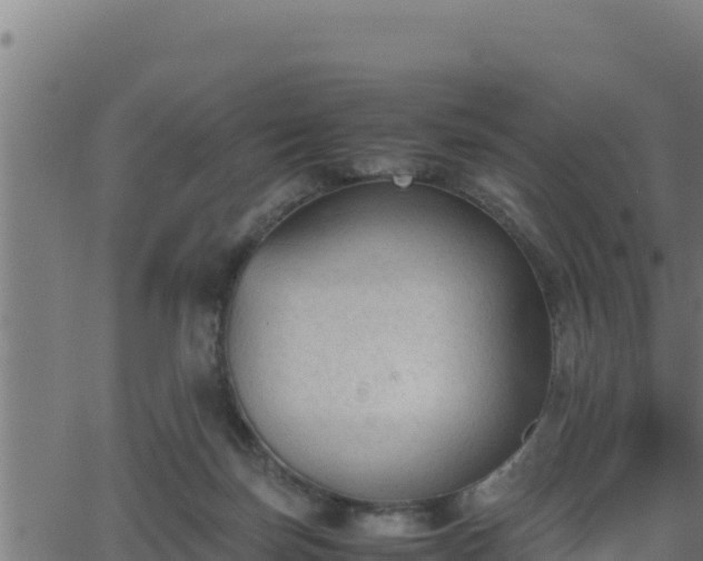 X0000062880171200601171457