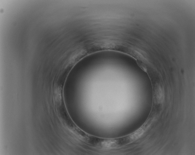 X0000062880172200601171457