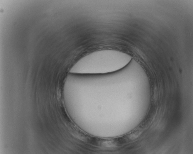 X0000062880173200601171457