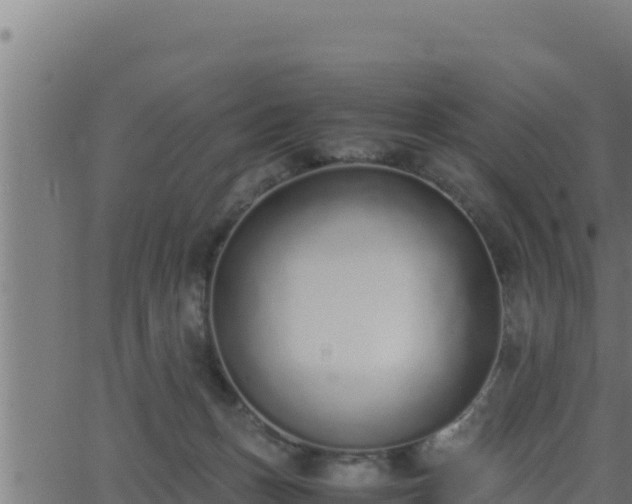 X0000062880175200601171457