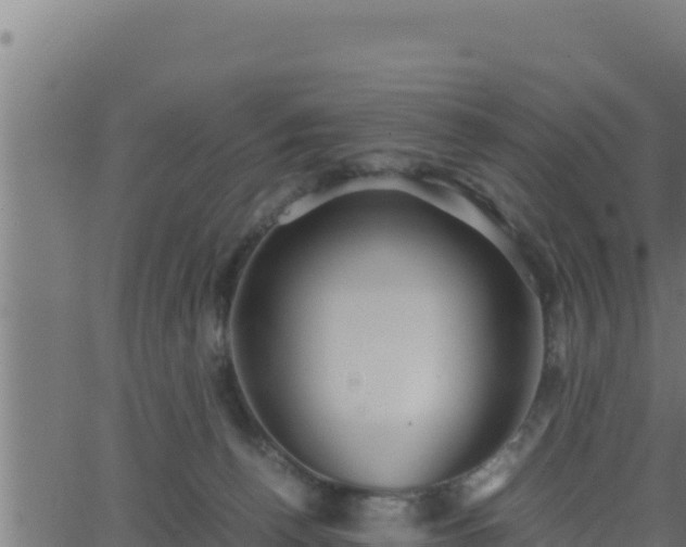 X0000062880176200601171457