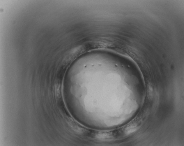 X0000062880177200601171457