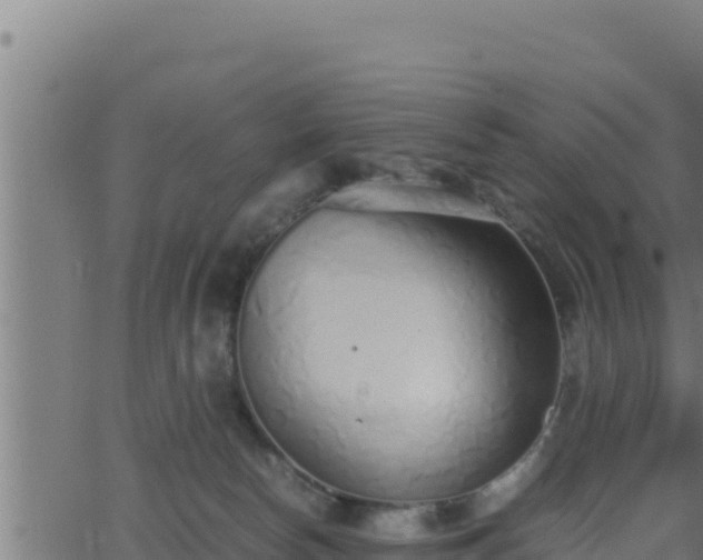 X0000062880178200601171457