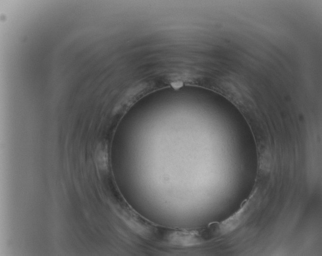 X0000062880179200601171457