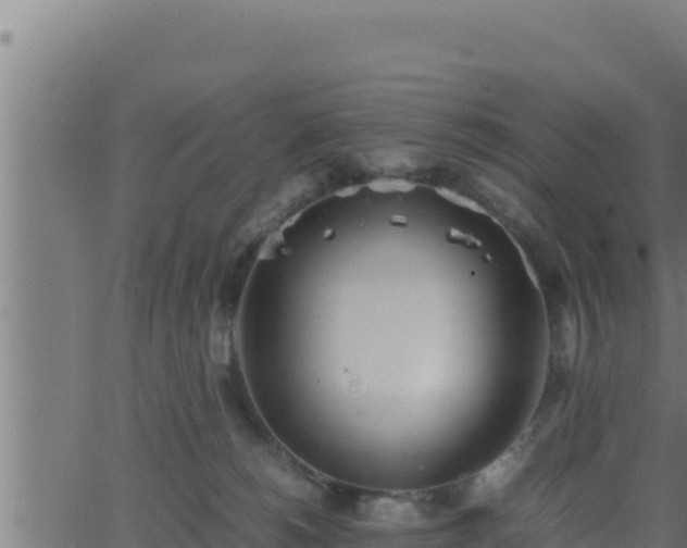 X0000062880180200601171457