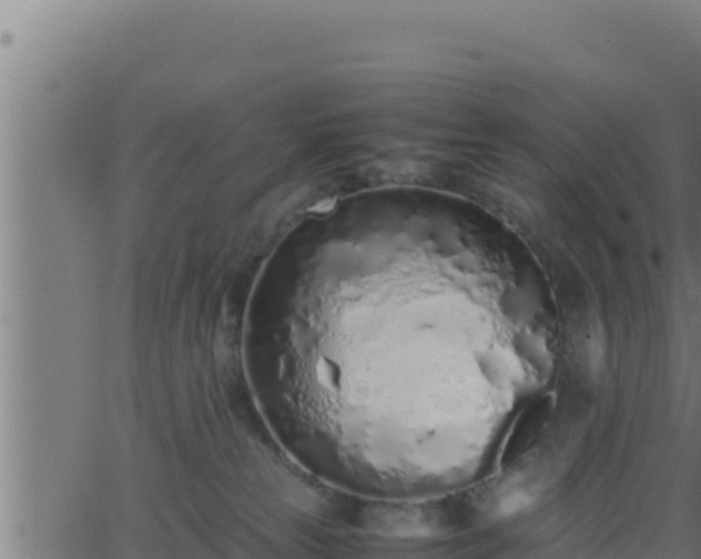 X0000062880181200601171457