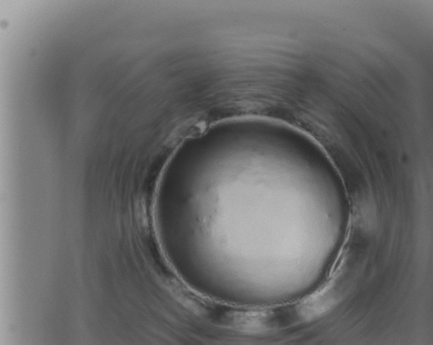 X0000062880182200601171457