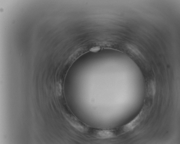 X0000062880183200601171457