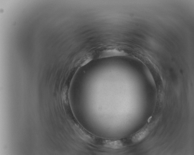 X0000062880185200601171457