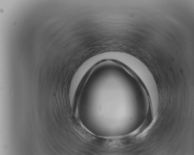 X0000062880186200601171457