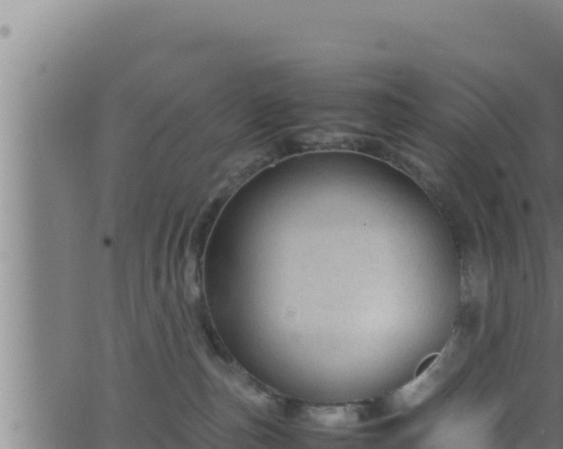 X0000062880187200601171457