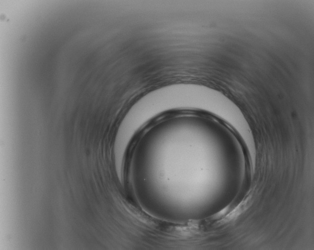 X0000062880188200601171457