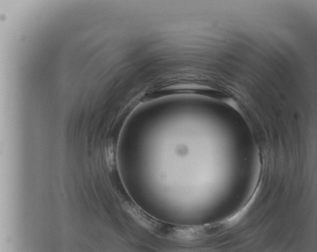 X0000062880190200601171457