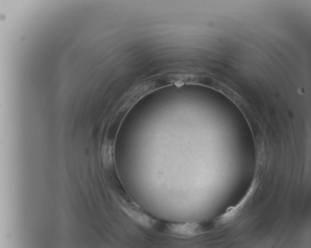 X0000062880191200601171457