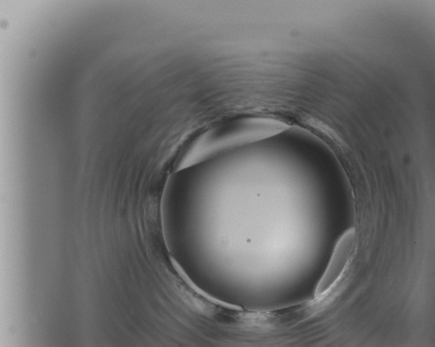 X0000062880192200601171457