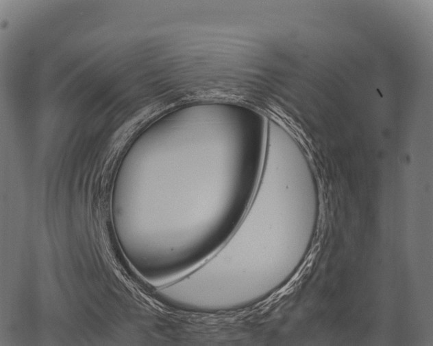 X0000062880193200601171456