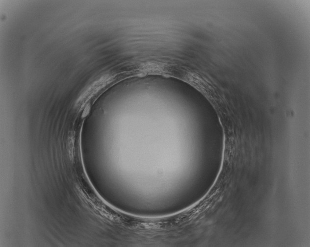 X0000062880194200601171456