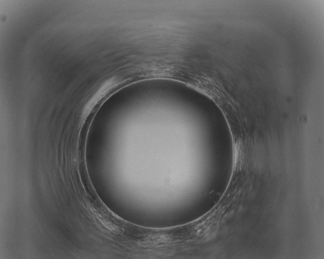 X0000062880195200601171456