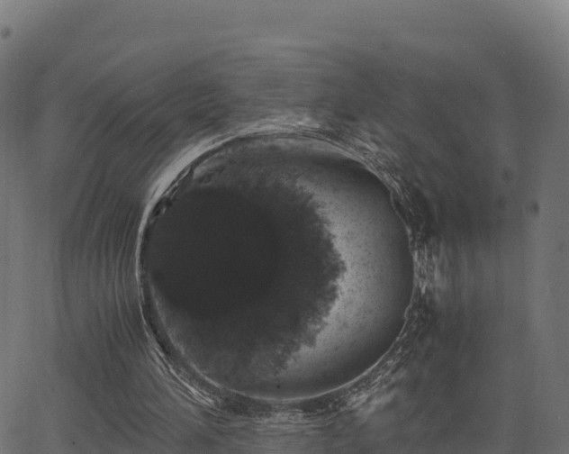 X0000062880196200601171456