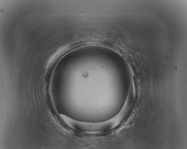 X0000062880197200601171456