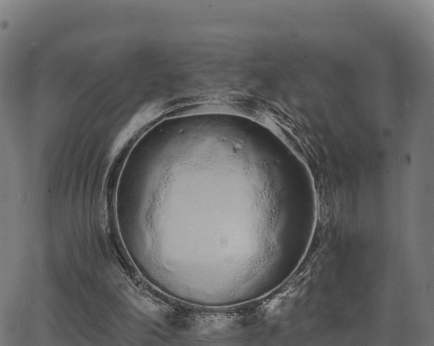 X0000062880198200601171456