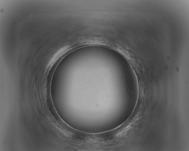 X0000062880199200601171456