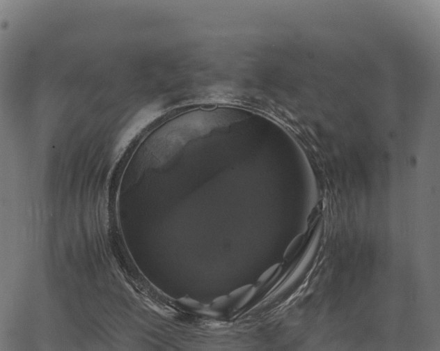 X0000062880200200601171456