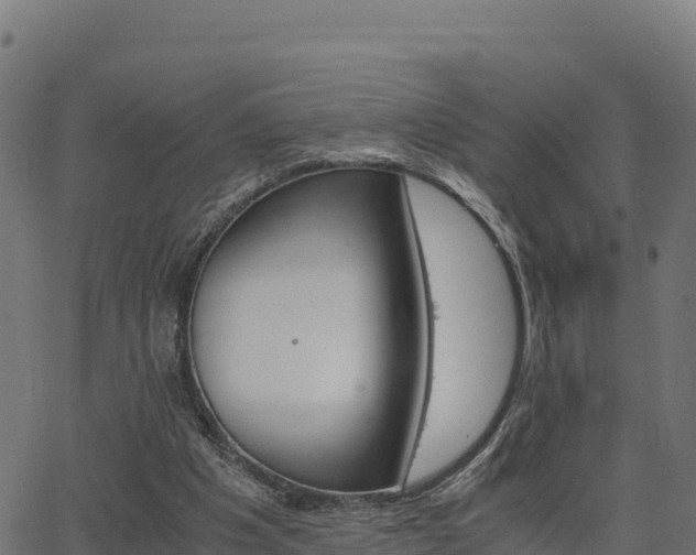 X0000062880201200601171456