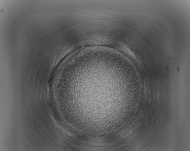 X0000062880202200601171456