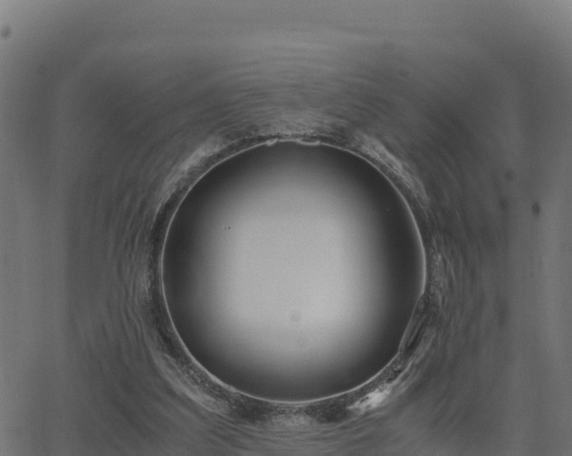 X0000062880203200601171456