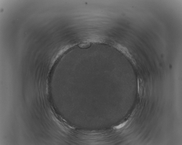 X0000062880204200601171456