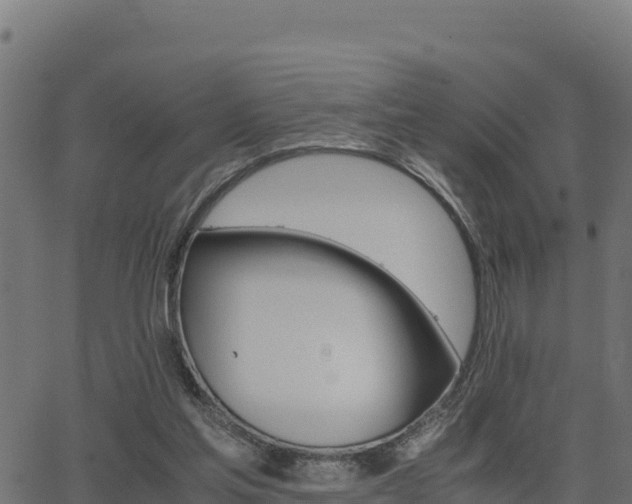 X0000062880205200601171456