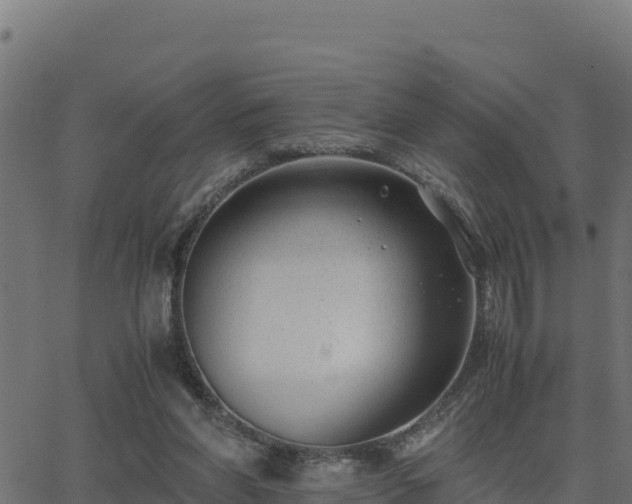 X0000062880206200601171456