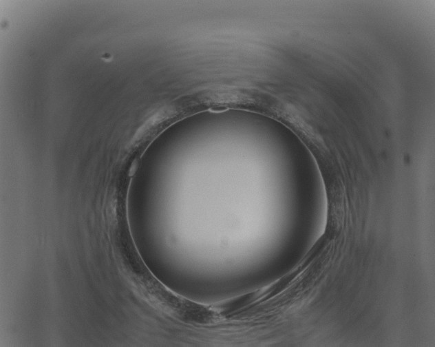 X0000062880207200601171456