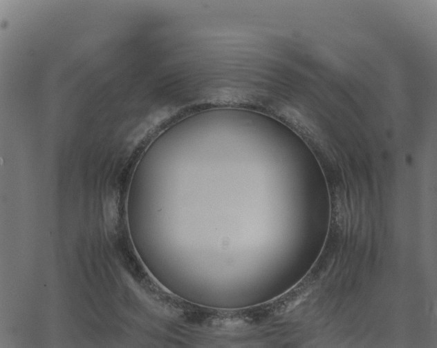 X0000062880208200601171456