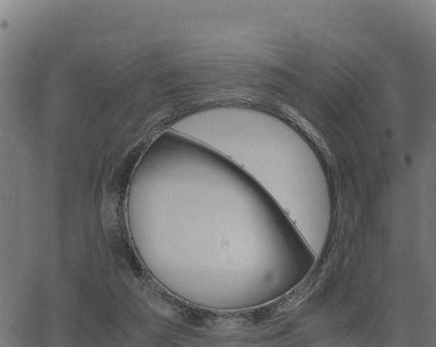 X0000062880209200601171456