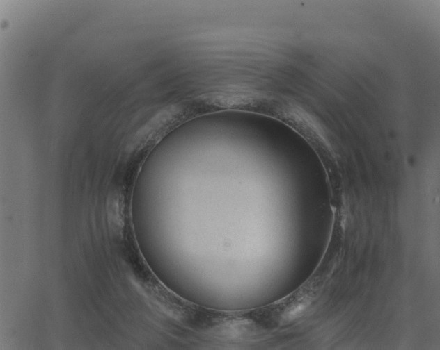 X0000062880210200601171456