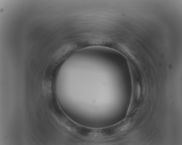 X0000062880211200601171456