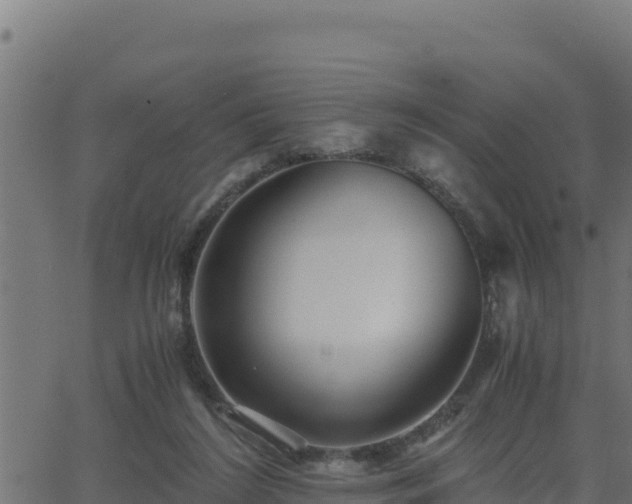 X0000062880212200601171456